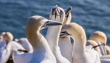 西安洗浴中心视频，揭秘背后的多元天地