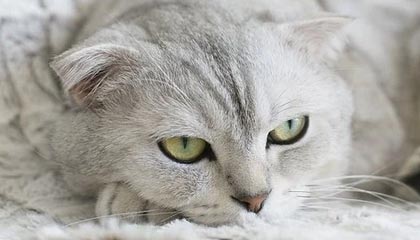 西安洗浴中心，都市中的放松秘旅探寻