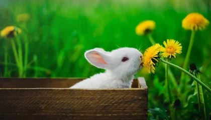 探秘西安大型洗浴中心，城市休闲新地标